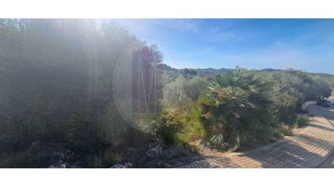 Parcela urbanizable de 1.001 m en Palau Novella  Vistas abiertas al Parque del Garraf, immagine 2