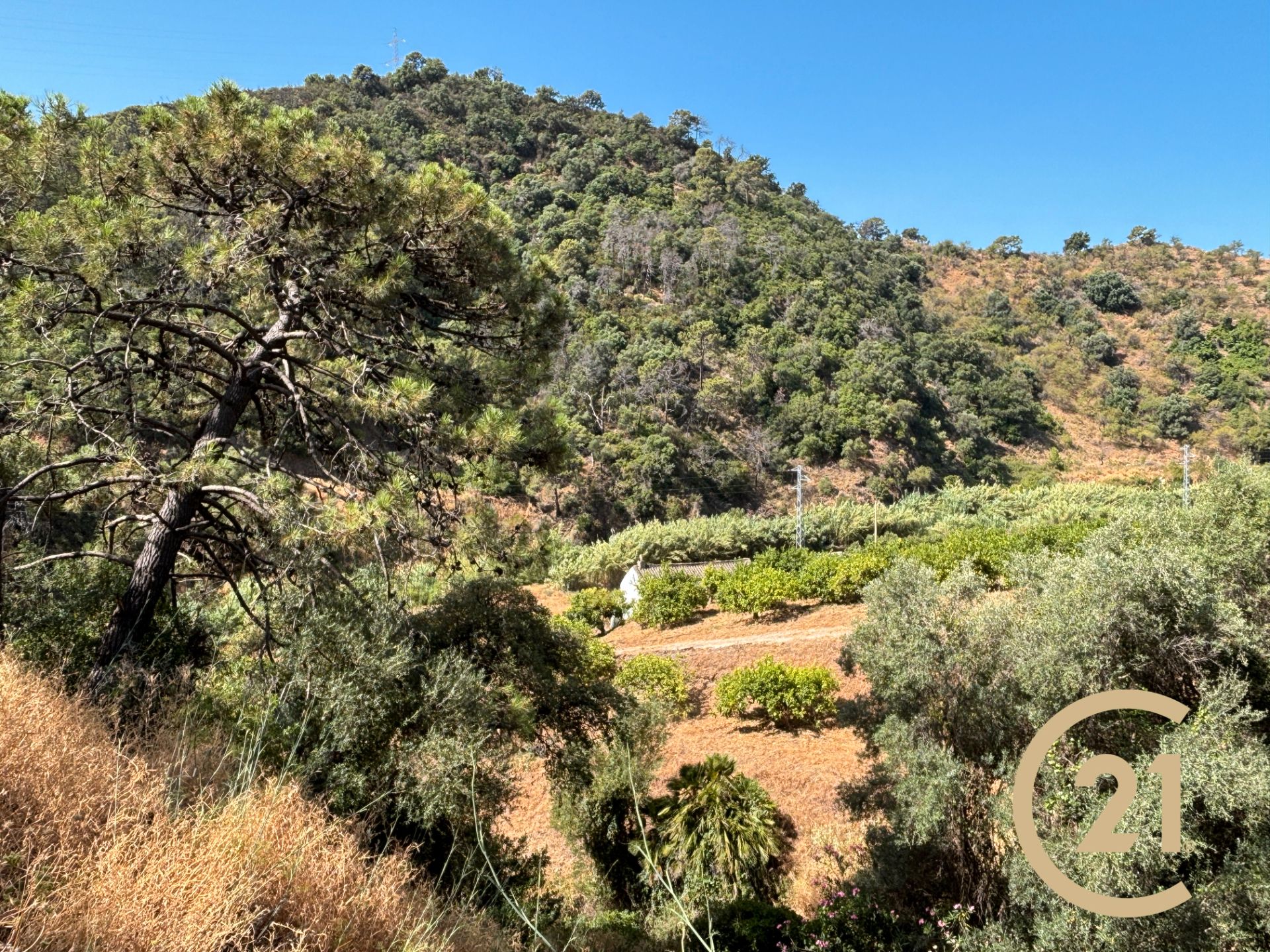 Terreno en venta en Estepona