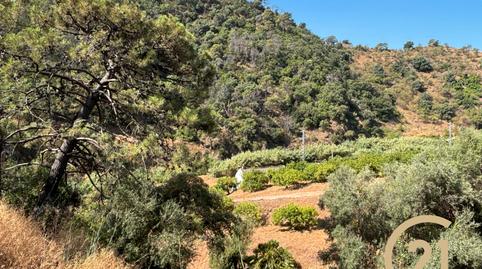 Foto 3 de Terreny en venda a Municipio Rio Padron, 20, Altos de Estepona, Estepona