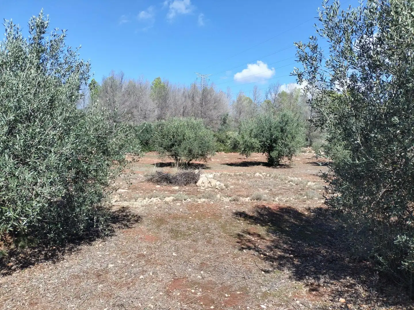 Rustikales Grundstück zum Verkauf in Xàtiva, imagen 7