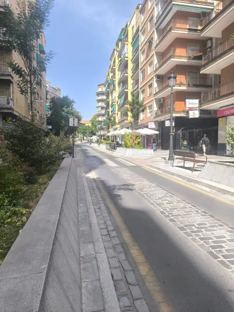 Pis amb terrassa en venda a Calle Emperatriz Eugenia 11