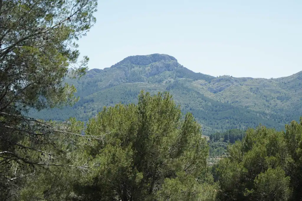 Casa en venta en Alcalalí, imagen 26