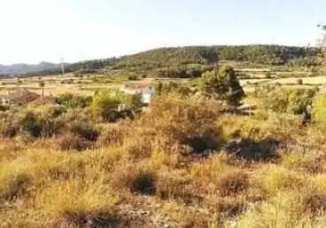 Terrain rustique à vendre à C/ Camp Santa Cana, imagen 8
