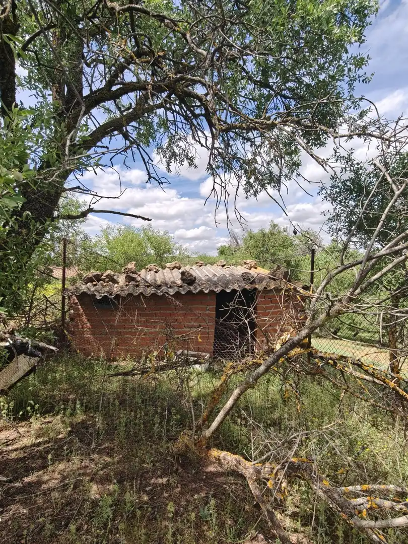 Exterior view of Residential for sale in Nambroca