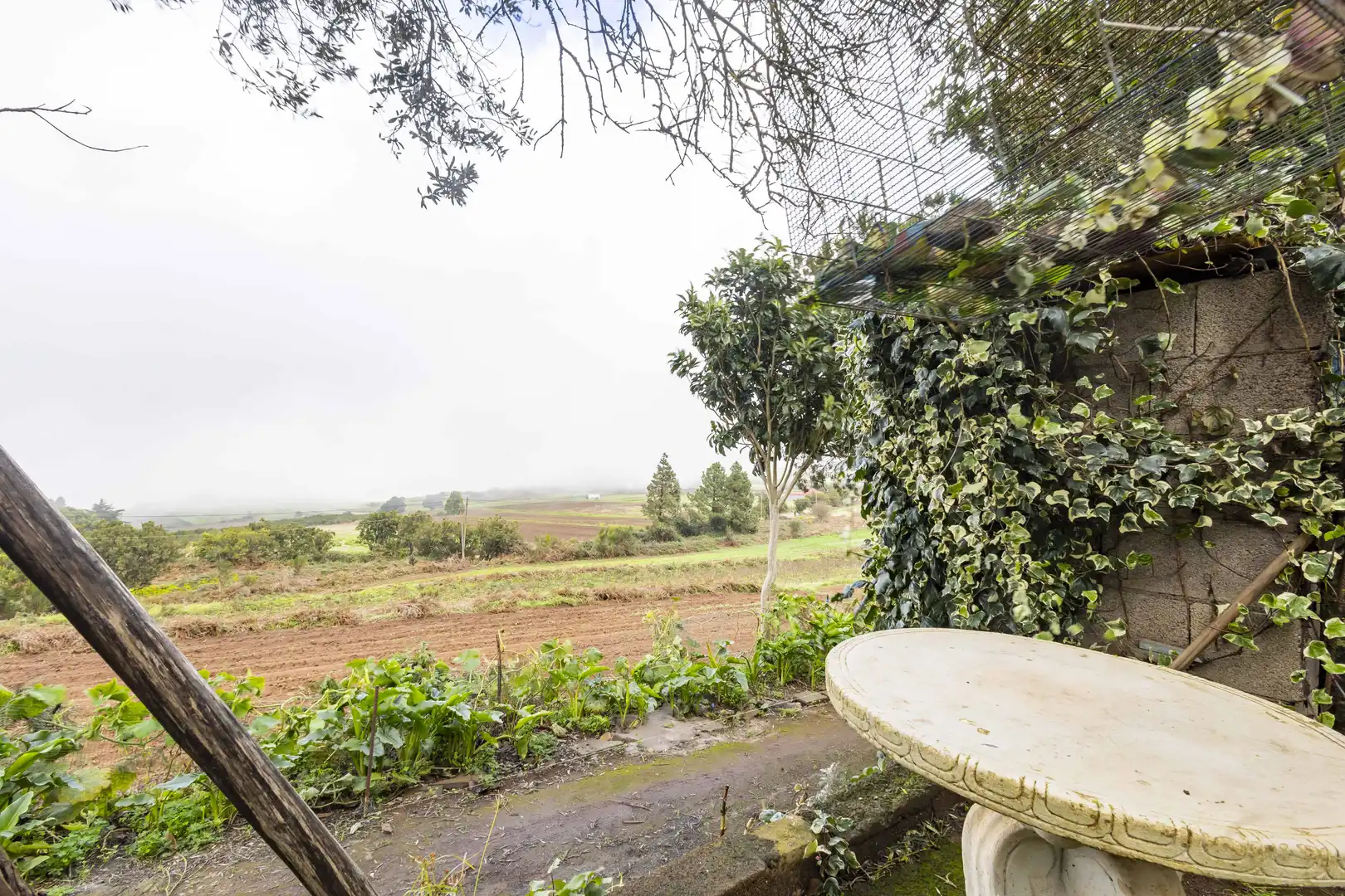 Jardín de Finca rústica en venta en San Cristóbal de la Laguna con Calefacción, Jardín privado y Terraza