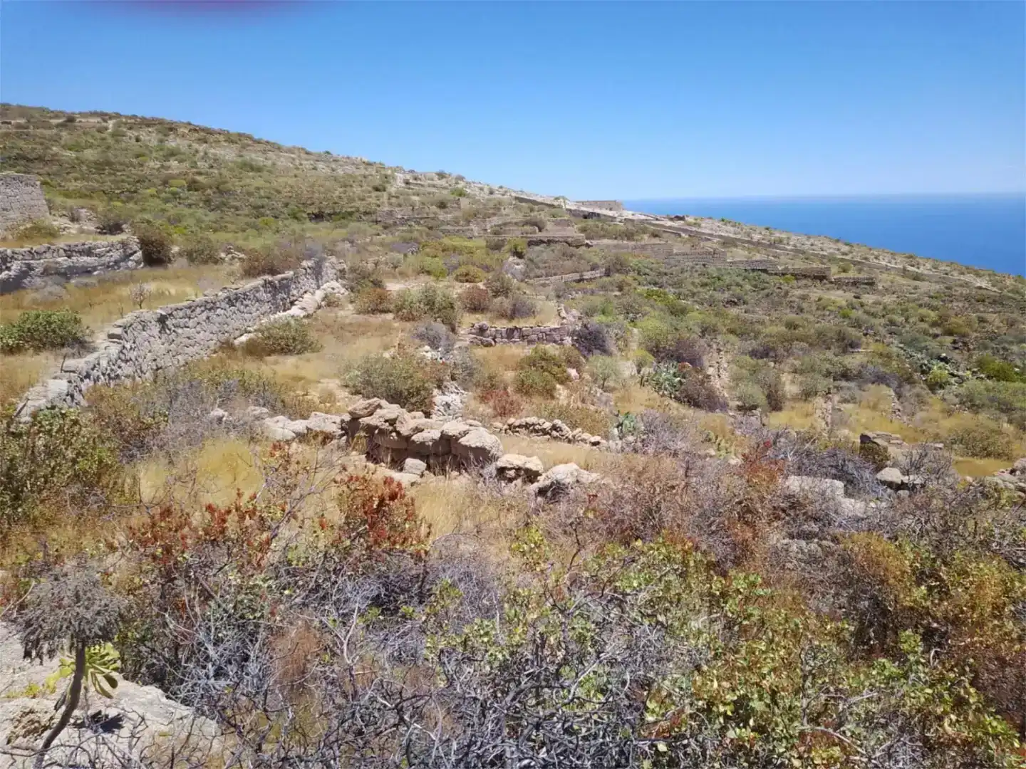 Finca rústica en venda en Güímar