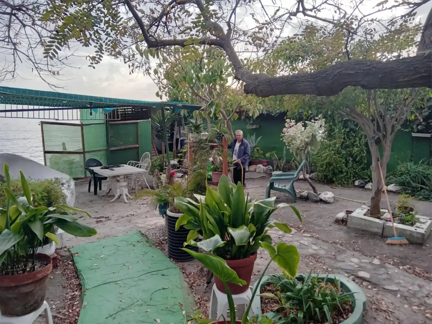 Terrassa de Casa o xalet en venda en Adra