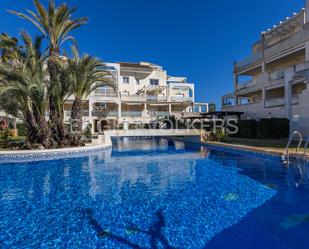 Swimming pool of Apartment for sale in Oliva  with Air Conditioner, Heating and Private garden