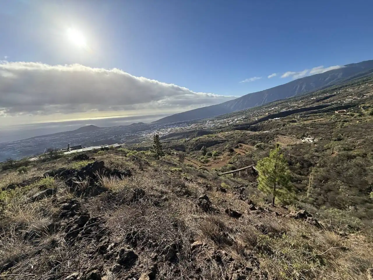 Rural land for sale in Camino Montesinas, imagen 13