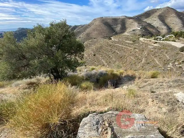 Terreni e lotti in vendita a Cotobro, imagen 5