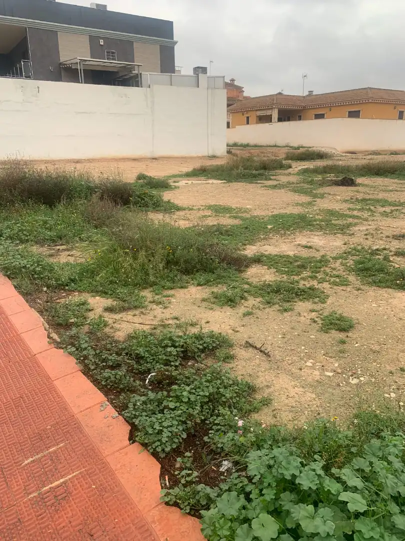Wohnbaugrundstück zum Verkauf in Calle Juan Carlos I 161, imagen 2