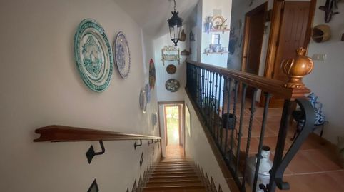 Foto 5 de Terreno en venta en Nigüelas, Granada