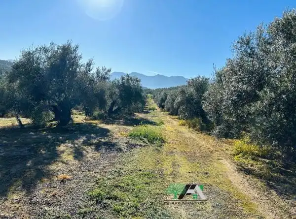 Terrenos y solares en venta en Úbeda, imagen 12