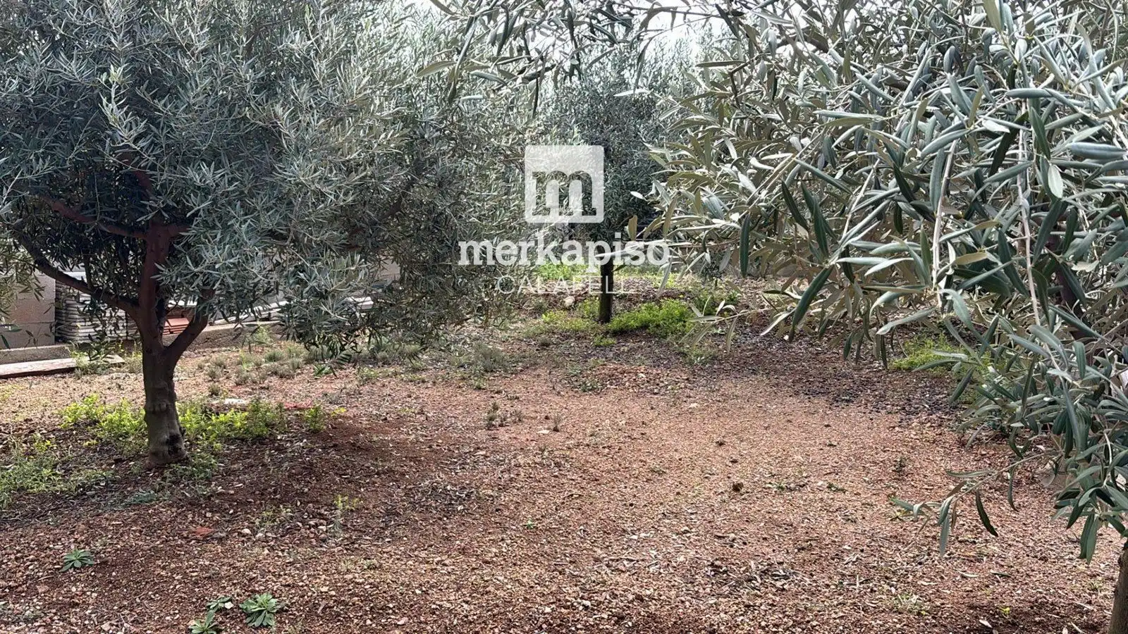 Terreny rústic en venda a Valldemar - Montmar, imagen 5