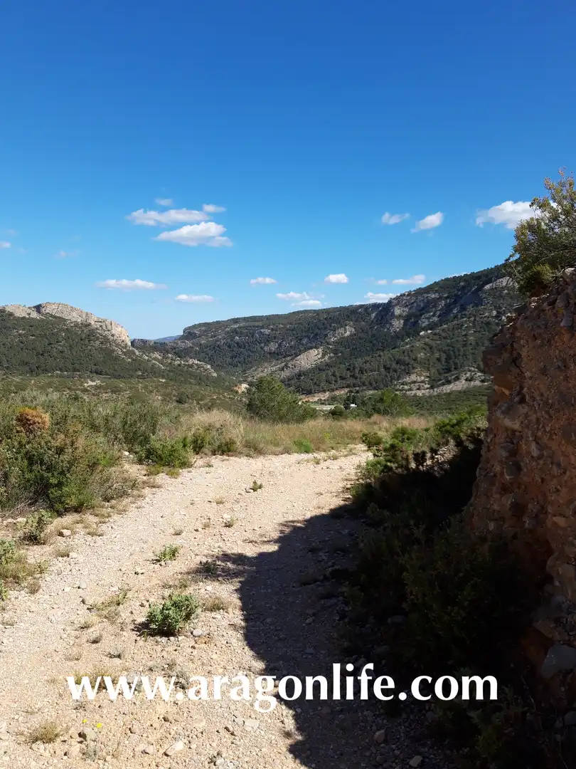 Terreny rústic en venda a Gandesa, imagen 6