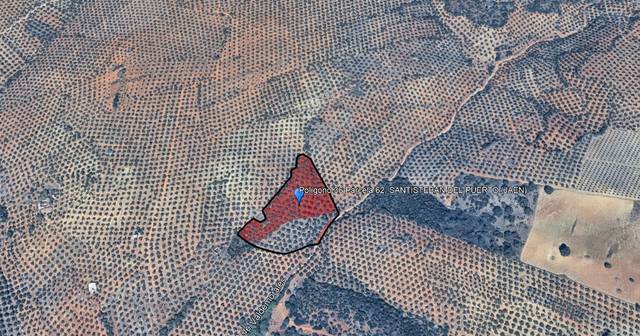 Terreno en Venta en N/A en Santisteban del Puerto