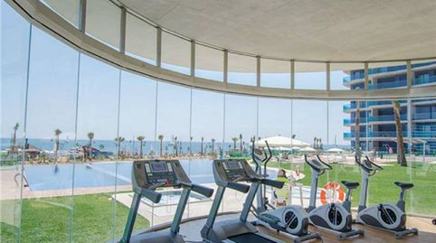 Foto 4 de Ático en venta en Punta Prima, Torrevieja