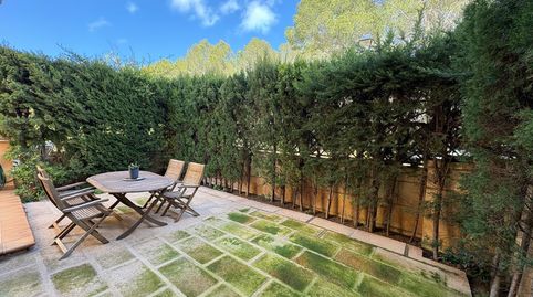 Foto 4 von Erdgeschoss zur Miete in Sant Elm, Andratx