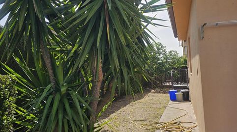 Foto 5 de Casa o chalet de alquiler en Avenida Avinguda Montserrat, Collbató, Barcelona