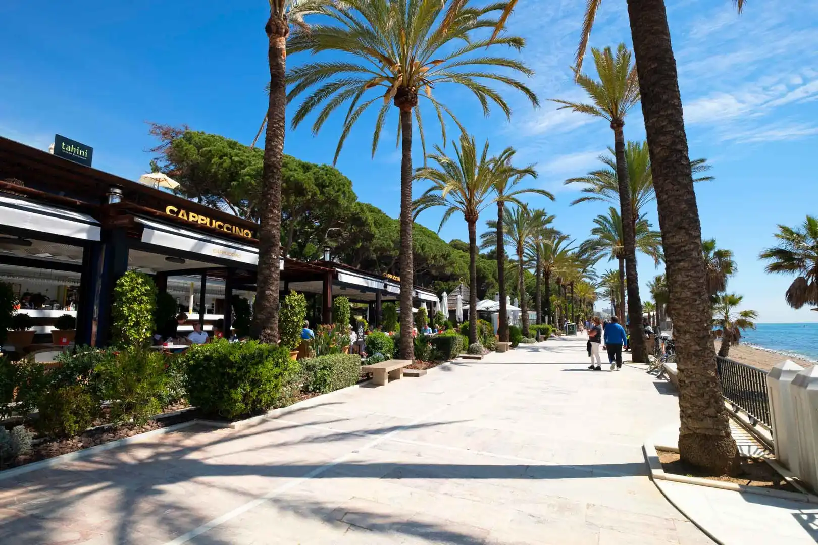 Apartments for rent in La Carolina - Guadalpín