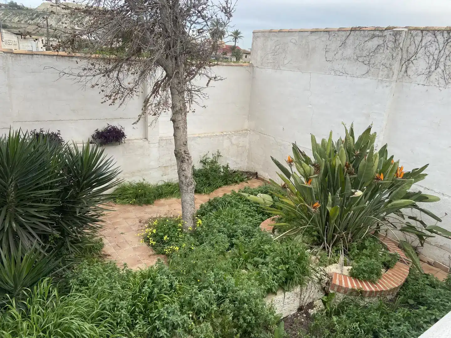 Jardí de Finca rústica en venda en Archena amb Balcó