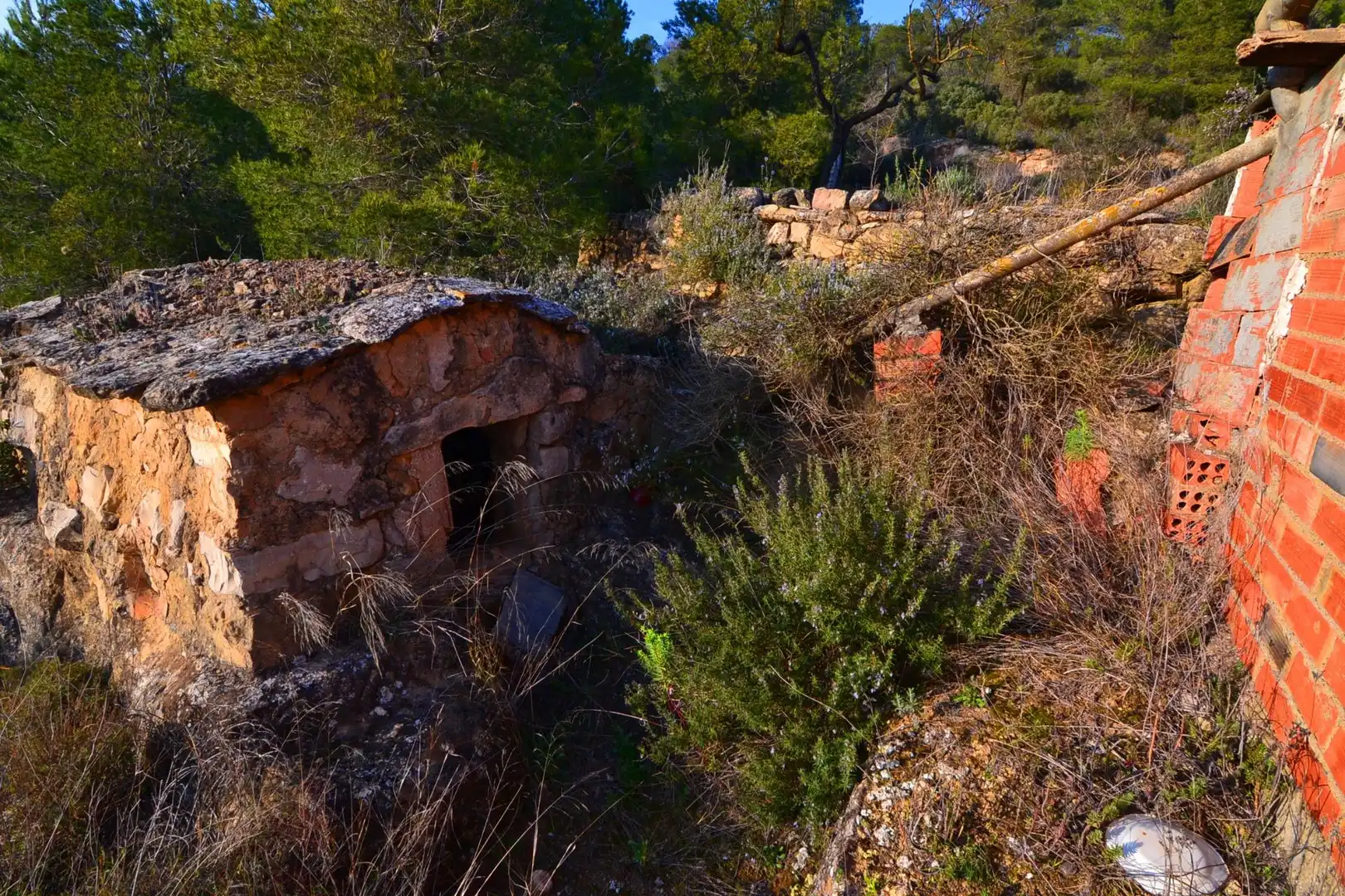 Rural land for sale in Corbera d'Ebre, imagen 20