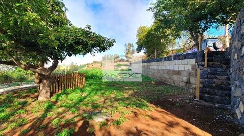 Foto 3 de Finca rústica en venta en Polígono, La Vega - El Amparo - Cueva del Viento, Icod de los Vinos
