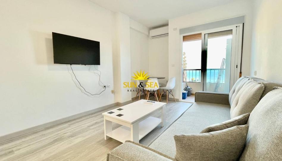 Foto 1 de Estudi de lloguer a Zona los Frutales, Alicante