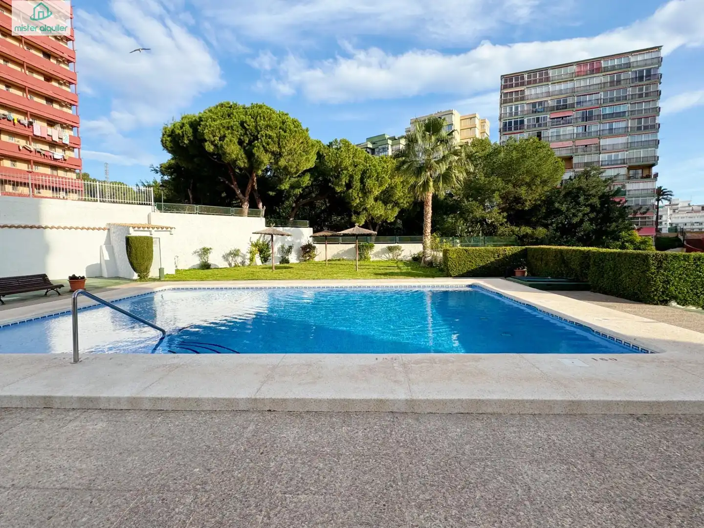 Swimming pool of Apartments for rent in Benidorm  with Air Conditioner, Heating and Private garden