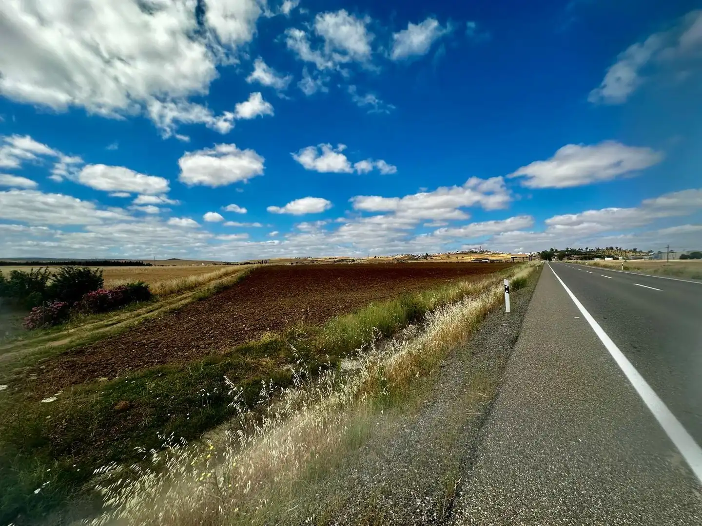 Rural land for sale in Fuente Obejuna, imagen 6