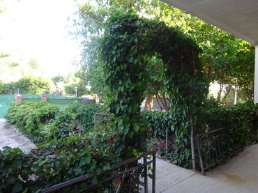 Maison rustique à vendre à El Fenazar - Campotéjar