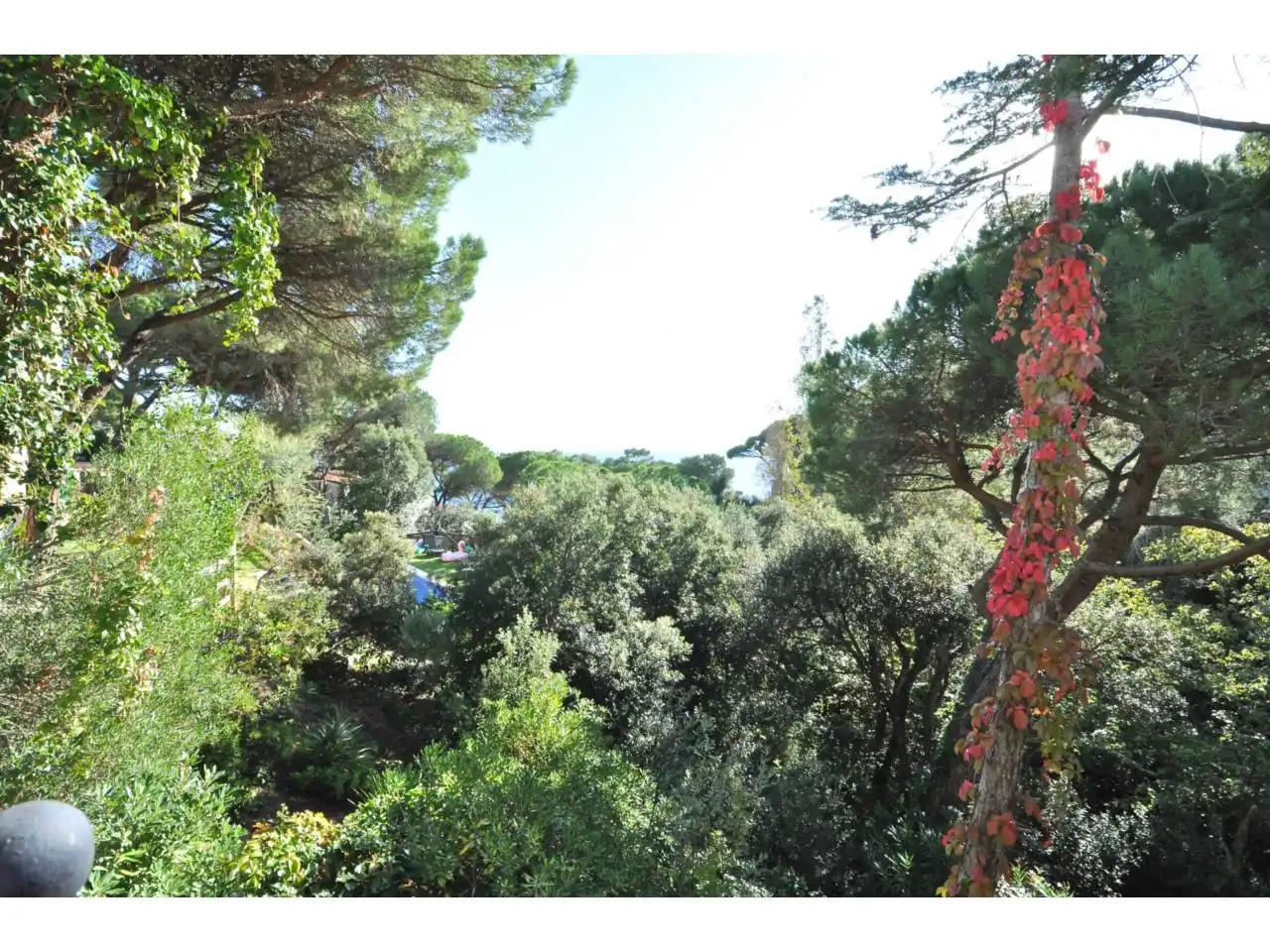Jardín de Casa o chalet en venta en Lloret de Mar con Calefacción, Jardín privado y Terraza