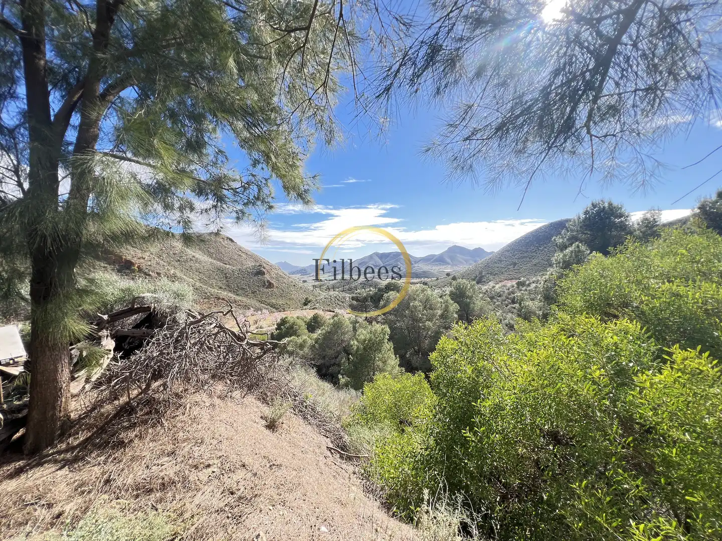 Finca rústica en venta en Morata
