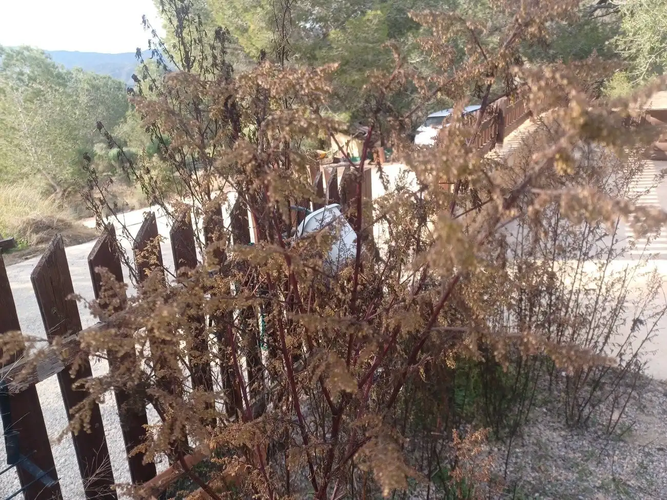 Casa rústica amb piscina en venda a Campo de Murcia, imagen 21