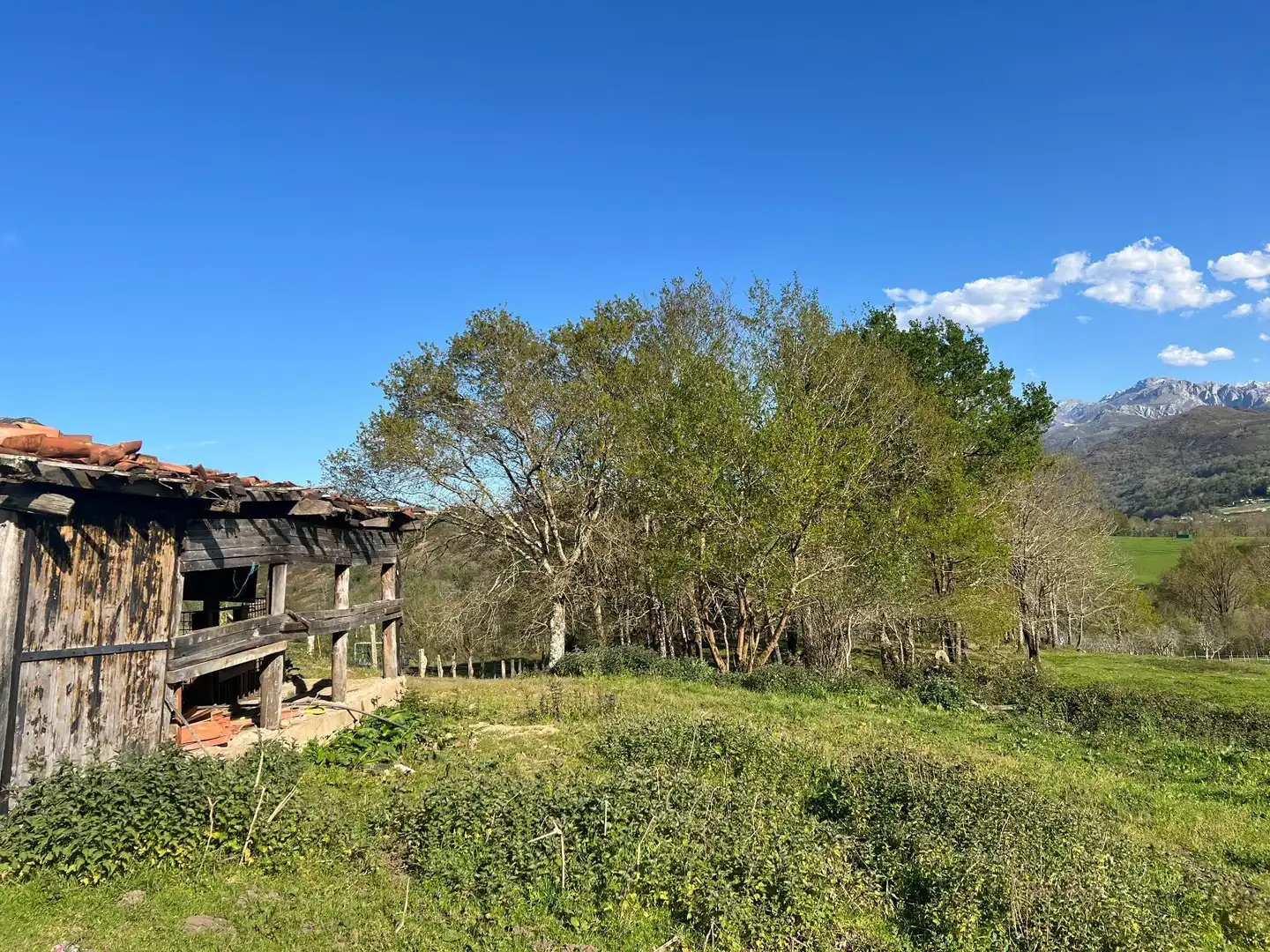 Terreni e lotti in vendita a Cangas de Onís, imagen 8