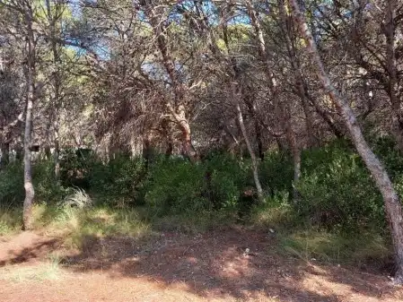 Terrain rustique à vendre à PT Sector R-6A UE2, imagen 8
