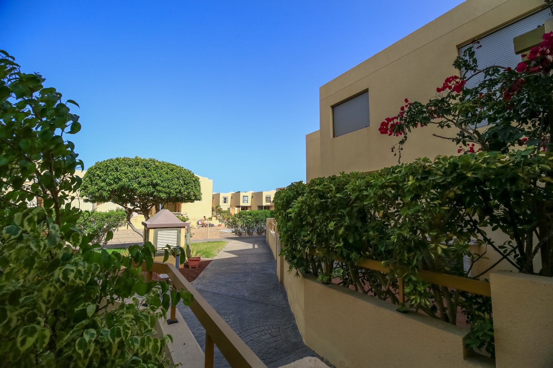 Jardín de Casa adosada en venta en Granadilla de Abona con Terraza, Trastero y Piscina comunitaria