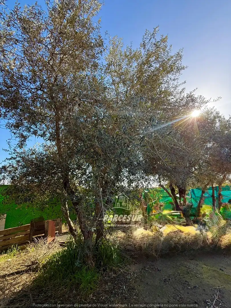 Country house zum Verkauf in Almodóvar del Río mit Abstellraum