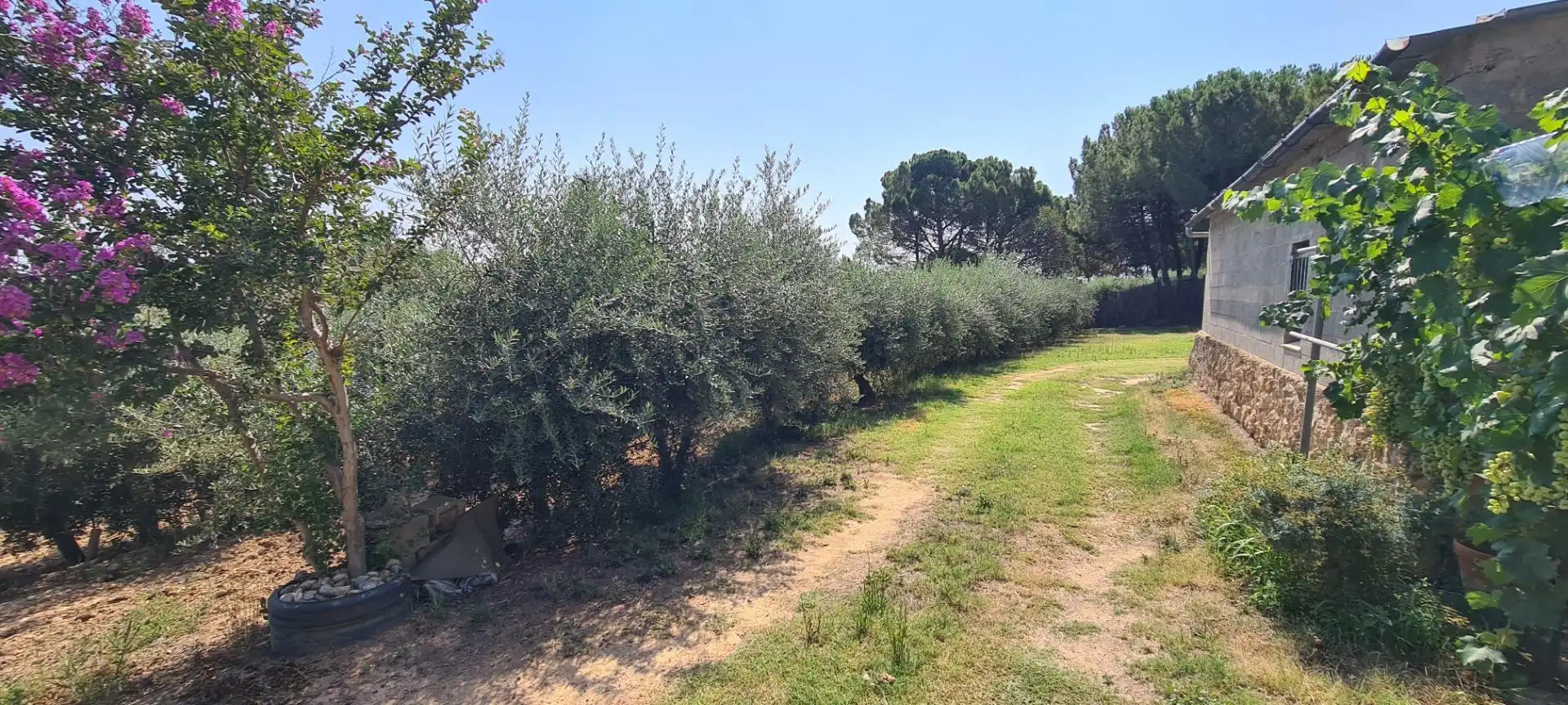 Terreno rustico in vendita a Partides de Lleida, imagen 18