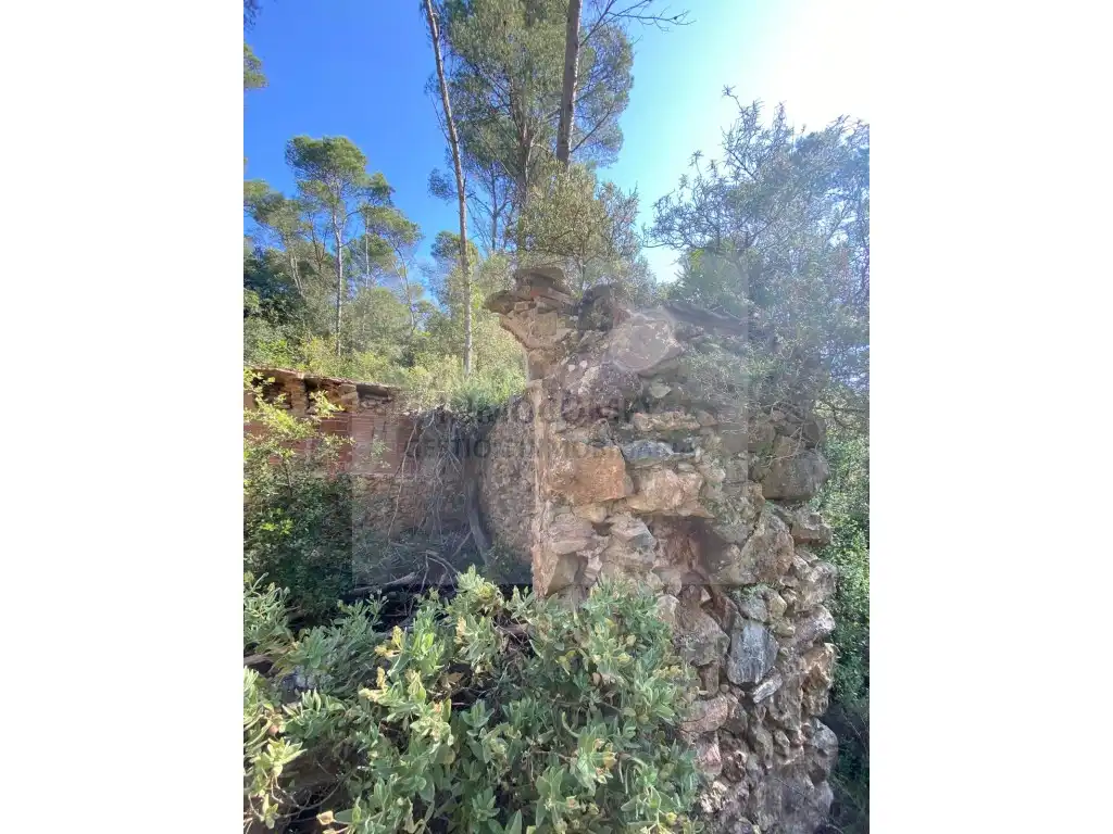 Land for sale in Pals