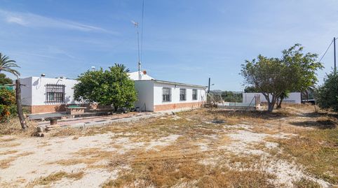 Photo 2 of Houses for sale in Peña de las Águilas, Elche / Elx