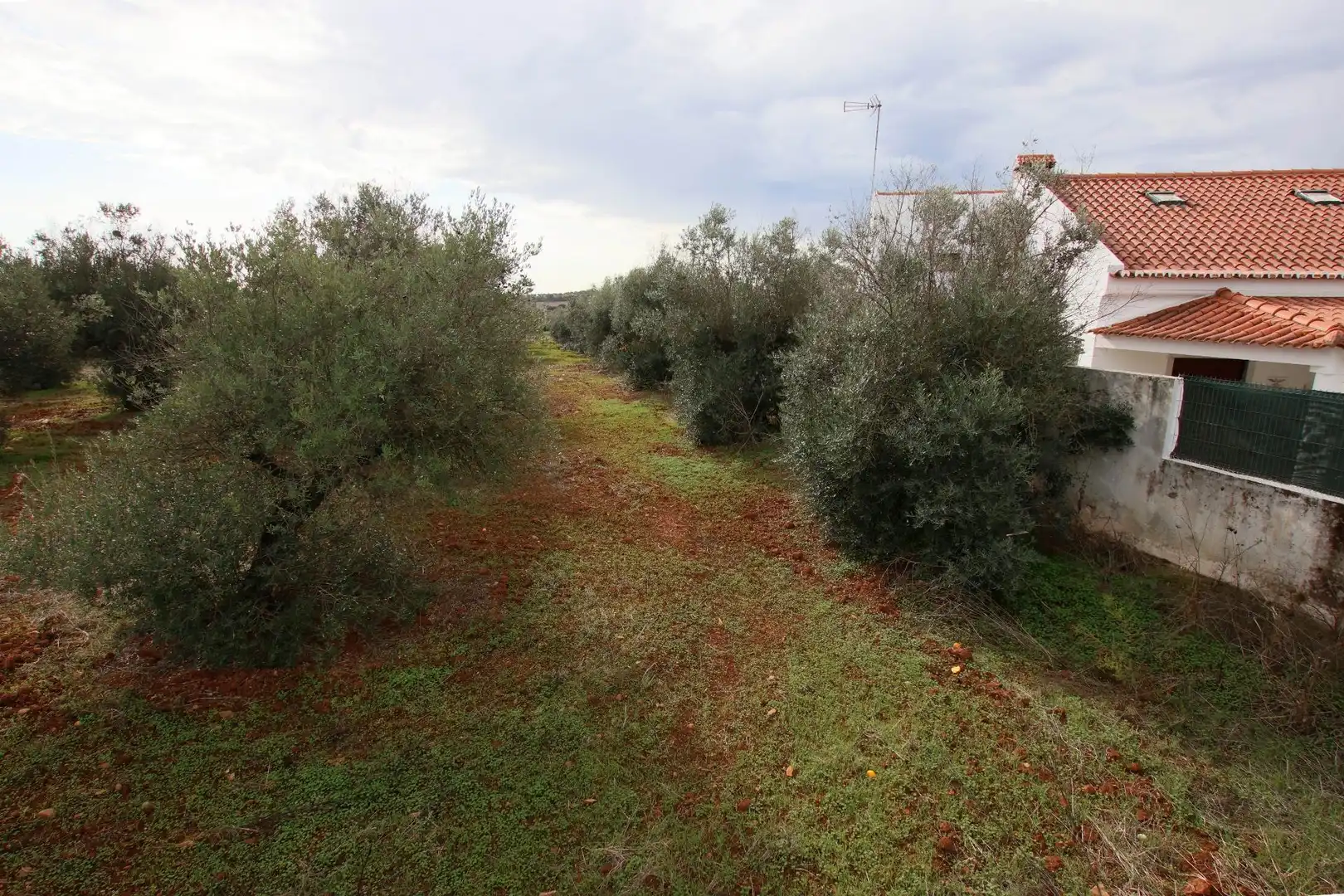 Terreni e lotti in vendita a Montijo, imagen 3