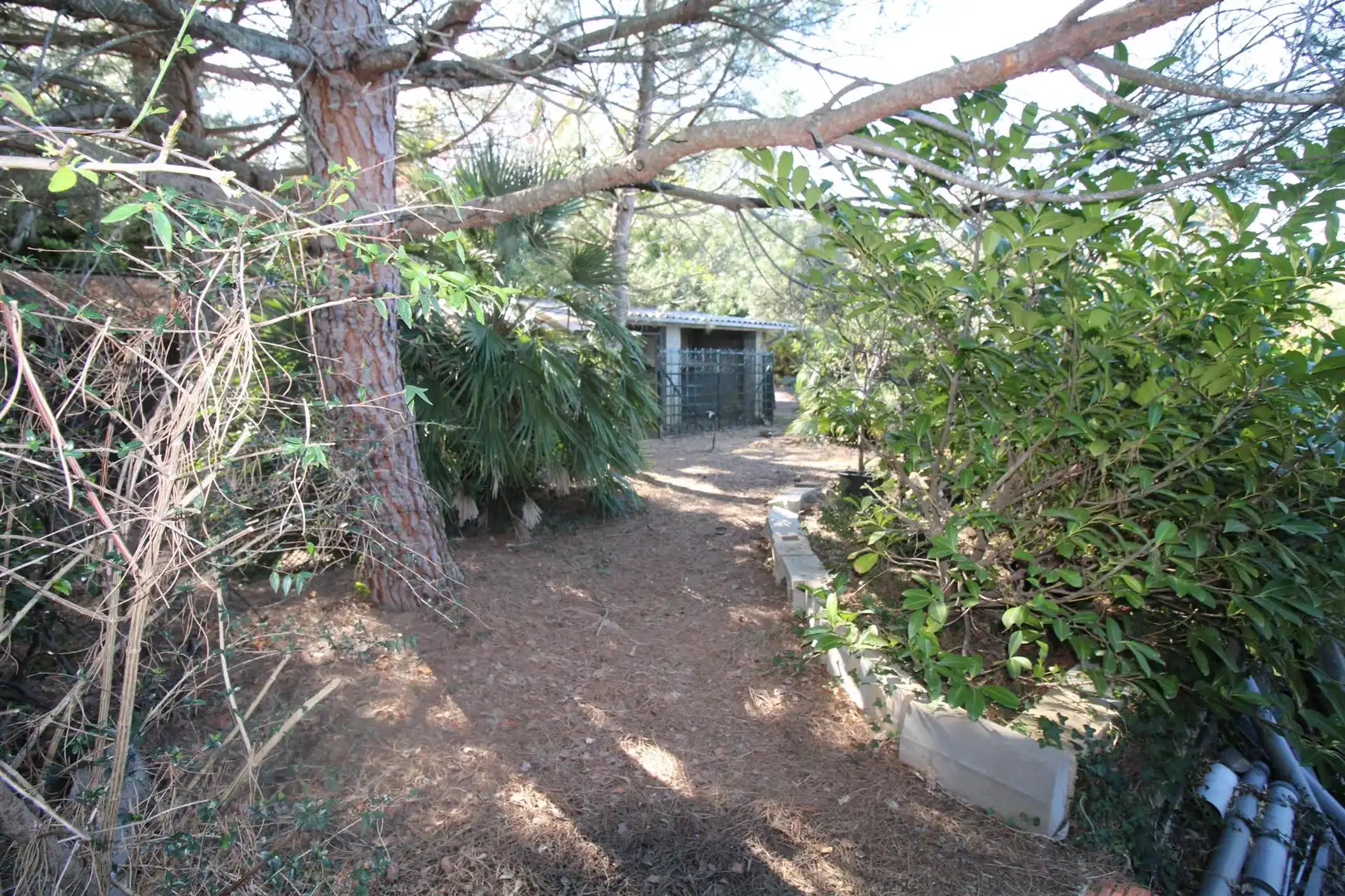 Residential land for sale in Arbúcies