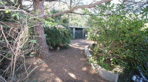 PARCELA EN VENTA EN FOGUERES DE MONTSORIU CON GRAN JARDIN CON GALLINEROS Y CUADRAS DE ANIMALES. SE ESCUCHAN OFERTAS!!!