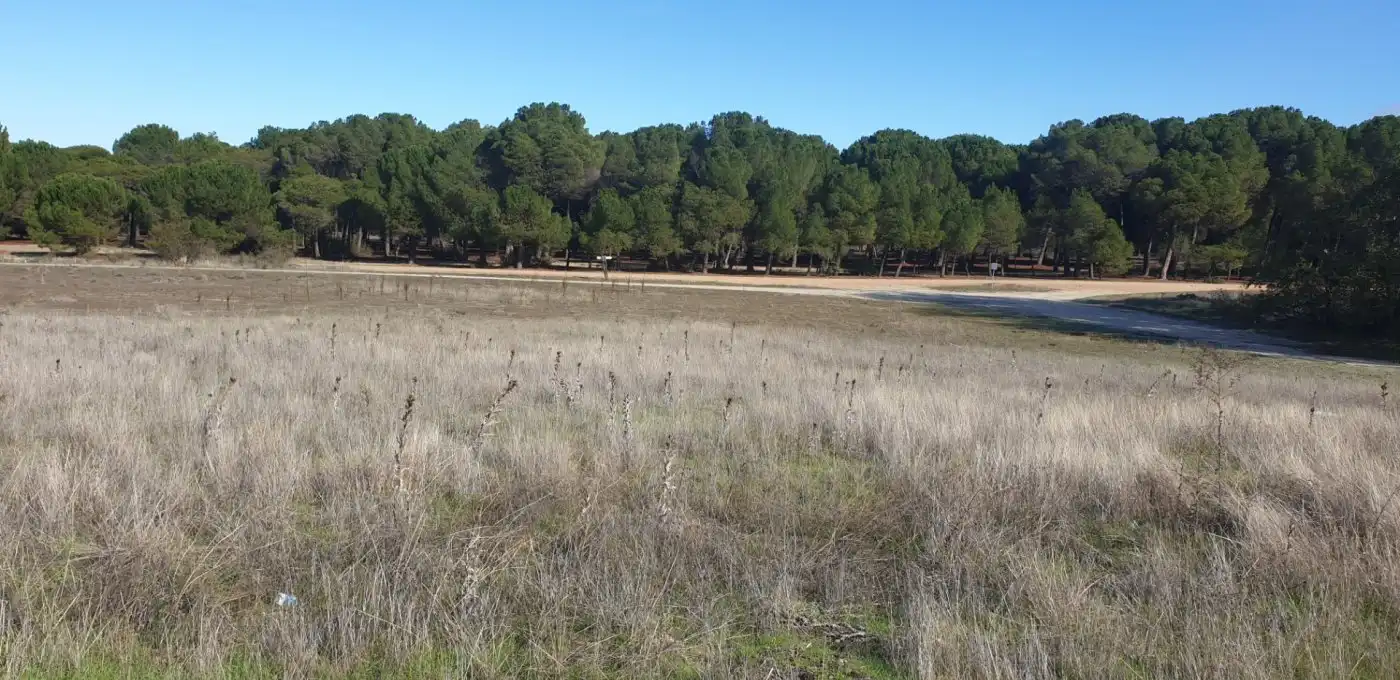 Terreni e lotti in vendita a Aldeamayor de San Martín, imagen 23