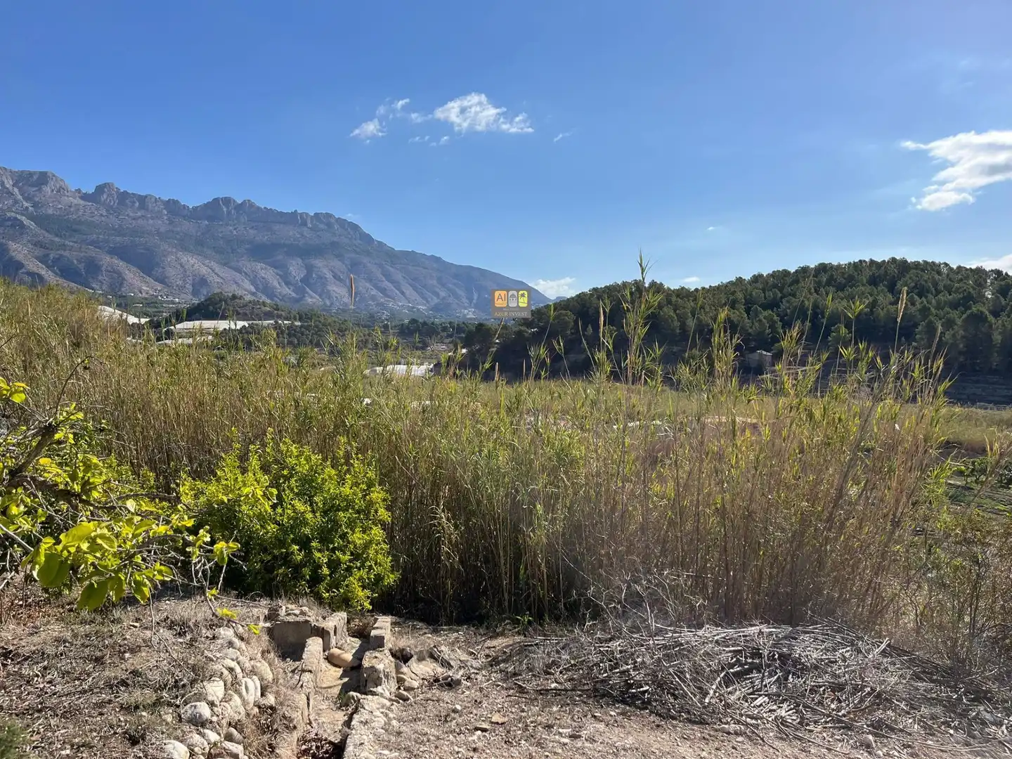 Finca rústica en venda a Callosa d'en Sarrià