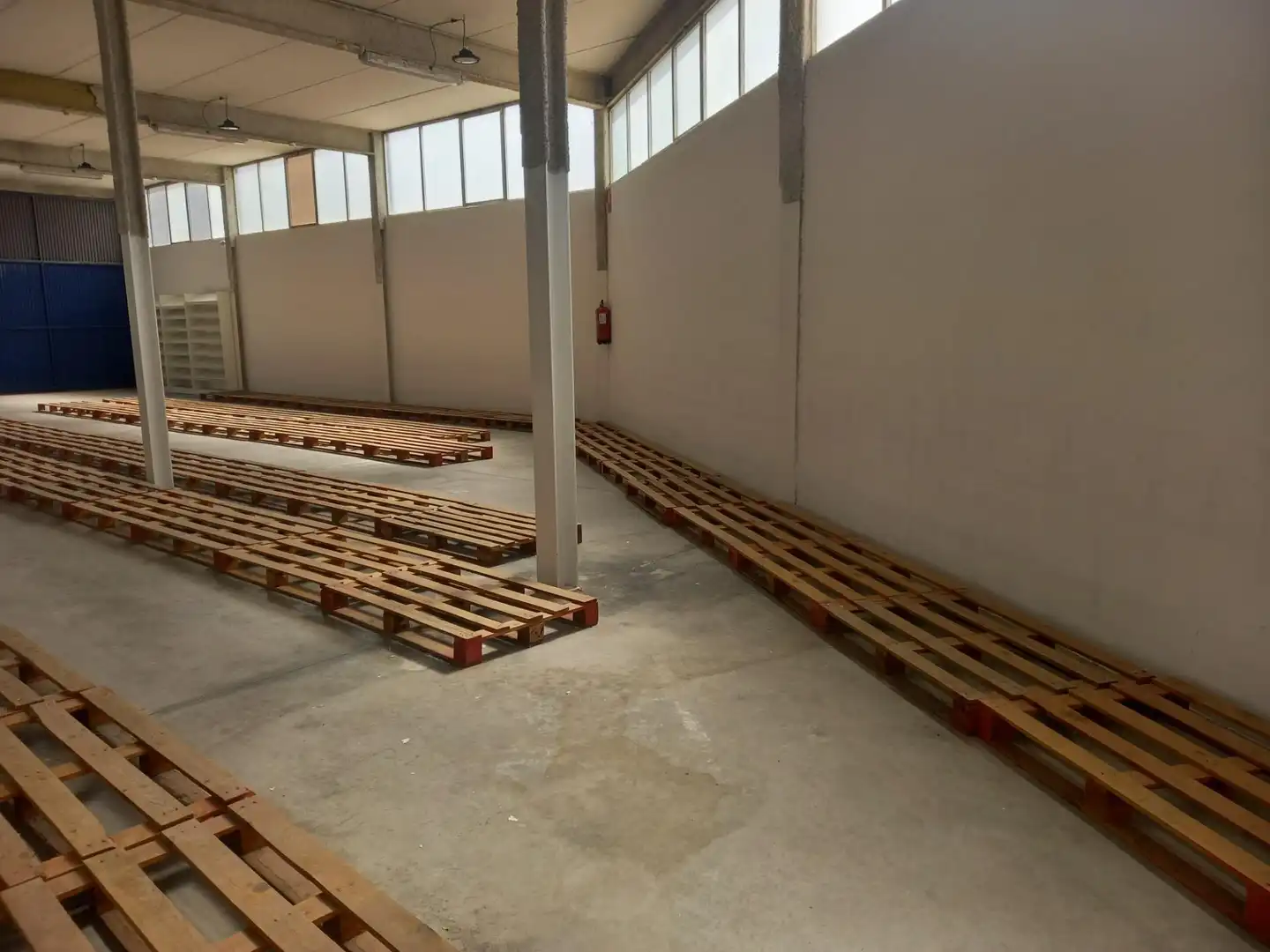 Nave industrial en alquiler en Elche ciudad, imagen 5