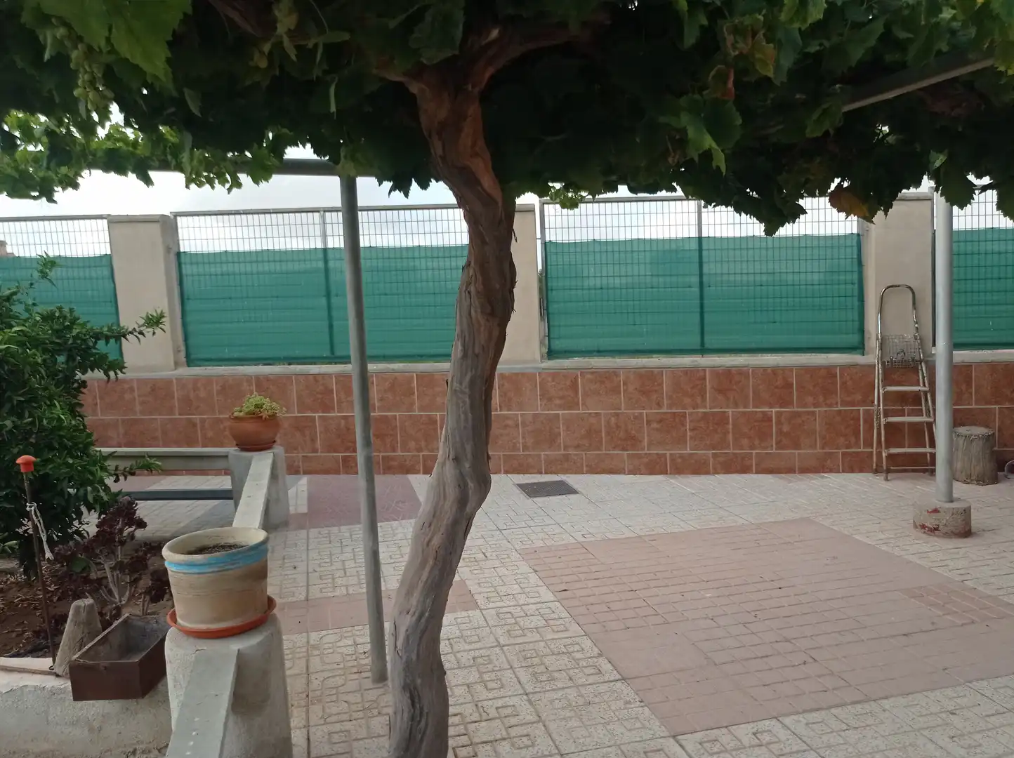 Terraza de Finca rústica en venta en Fuente Álamo de Murcia con Calefacción, Jardín privado y Piscina