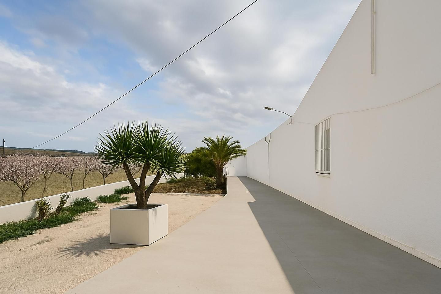 Exterior view of Country house for sale in Elche / Elx  with Private garden and Swimming Pool