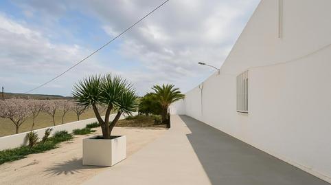 Foto 3 de Finca rústica en venta en Partida Torrellano Alto, Torrellano, Alicante